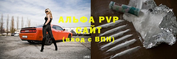 стаф Козельск