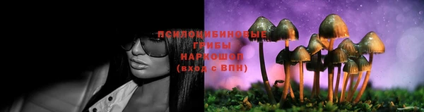 тгк Козловка