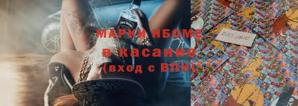 стаф Козельск